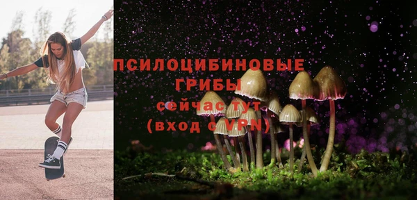 Альфа ПВП Арсеньев