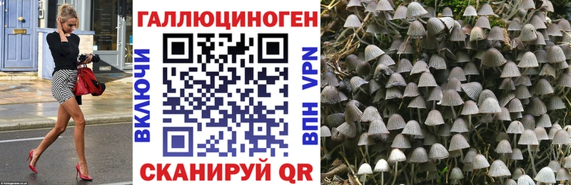 Галлюциногенные грибы Psilocybine cubensis  blacksprut маркетплейс  Новосокольники 